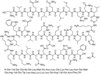 特立帕肽结构式图片|52232-67-4结构式图片